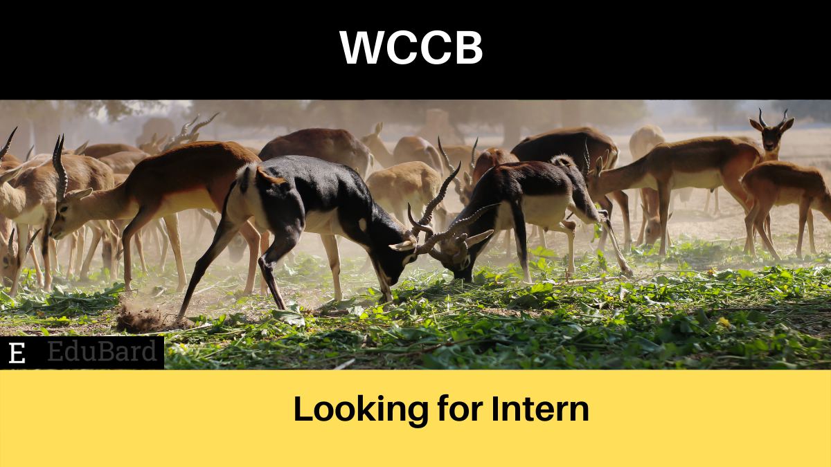 Govt. Of India | WCCB Internship Programme, Apply ASAP