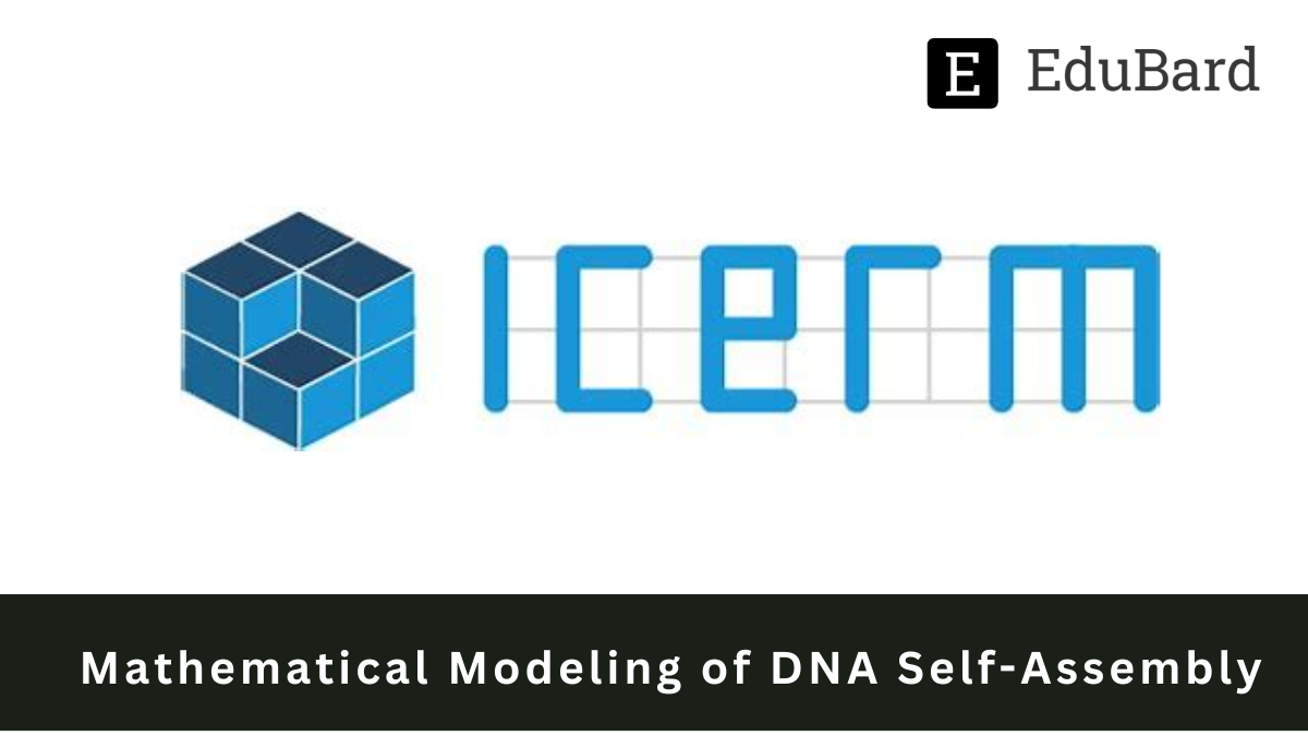 ICERM - Organizing a Mathematical Modeling of DNA Self-Assembly, Apply by February 15, 2023.