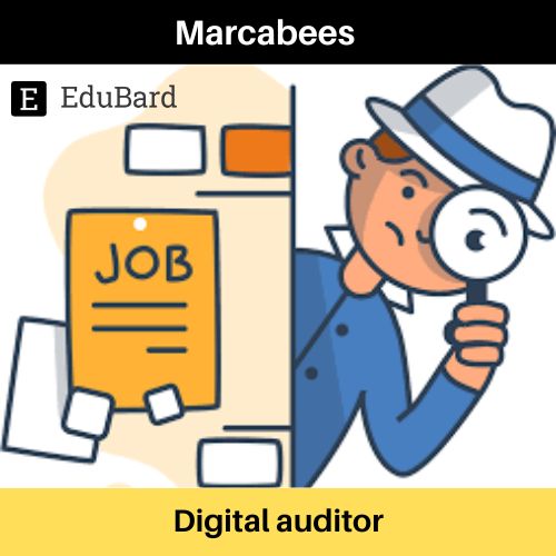 Marcabees | Application for Digital Auditor, Apply now