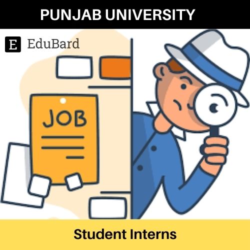 Punjab University | Application for Student Interns; Apply asap