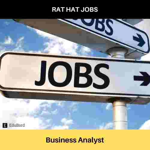RAT HAT JOBS is hiring Business Analysts, Apply now