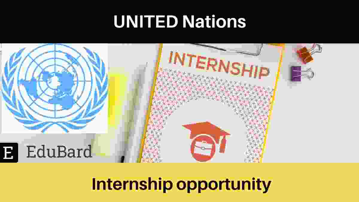 United nation invites application for the Intern Position for "Economic Affairs"